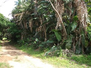 1210 m² Land available in Trafalgar