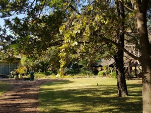 4 Bed House in Grootvlei AH