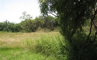 1.1 ha Land available in Derdepoort