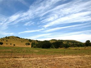 50.7 ha Farm in Lydenburg