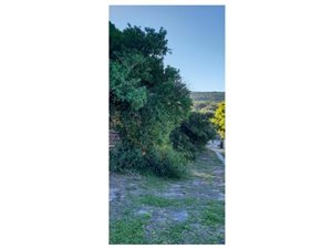 1287 m² Land available in Clarendon Marine