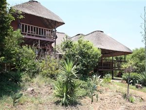 5 ha Farm in Hennops River
