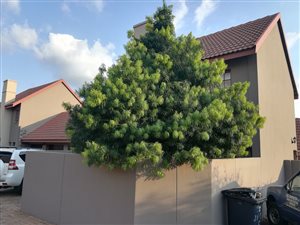 2 Bed Townhouse in Brooklands