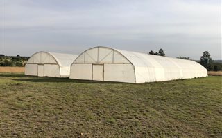 4.2 ha Farm in Boschkop