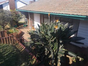 3 Bed House in Allandale