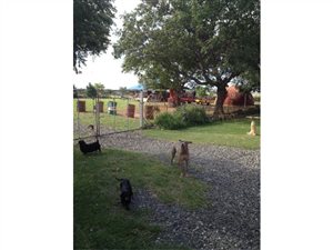 20 ha Farm in Estcourt