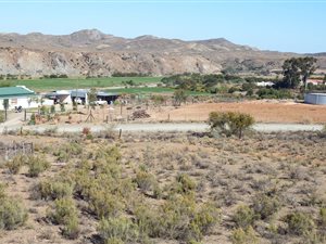 215 ha Farm in Ladismith