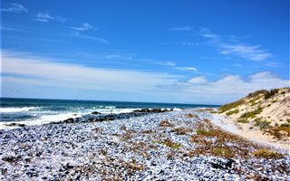 868 m² Land available in Shelley Point
