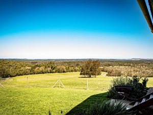 11 ha Farm in Sedgefield