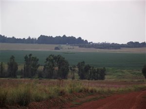 693 ha Farm in Grootfontein Estate