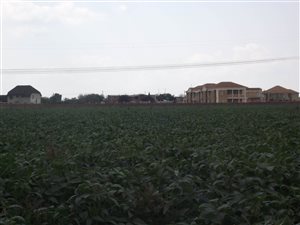 659 ha Farm in Grootfontein Estate