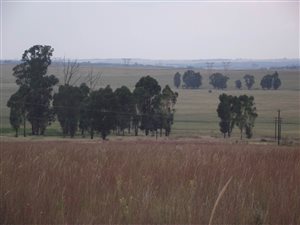 693 ha Farm in Grootfontein Estate