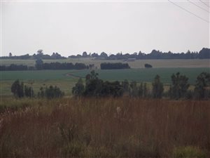 6590 ha Farm in Grootfontein Estate