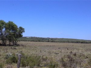 22.1 ha Farm in St Francis Bay