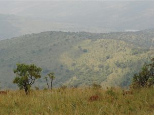 571.7 ha Farm in Lydenburg