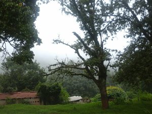 141 ha Farm in Haenertsburg