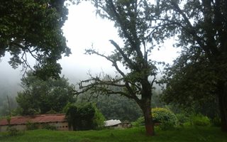 141 ha Farm in Haenertsburg