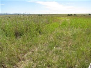 4.8 ha Land available in Mooiplaats AH