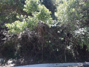 625 m² Land available in Wilderness