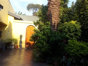 3 Bedroom House in Bromhof