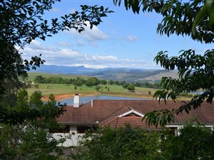 20 ha Farm in Currys Post