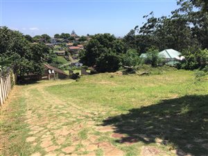 3 Bed House in Park Hill