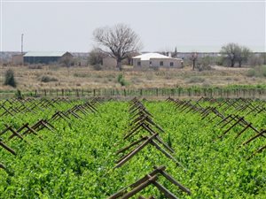 18 ha Farm in Groblershoop