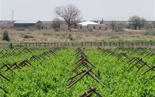 18 ha Farm in Groblershoop