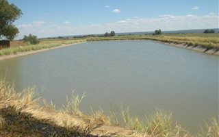 25.2 ha Farm in Hartswater