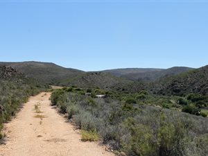 404 ha Farm in Uniondale