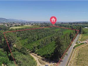 8.1 ha Farm in Northern Paarl