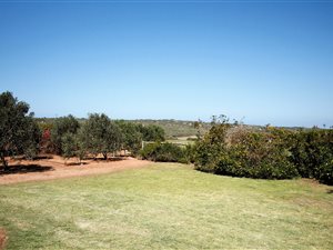 9.2 ha Farm in Vlees Bay