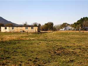 81 ha Farm in Vryheid