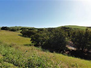 2 ha Land available in Ballito