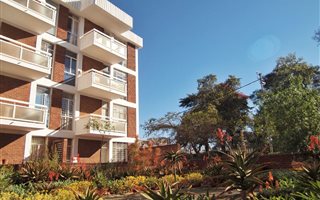 1 Bedroom Apartment in Illovo