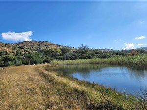 78 ha Farm in Tonteldoos