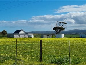 80 ha Farm in Gouritsmond