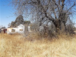 1.1 ha Land available in Estoire