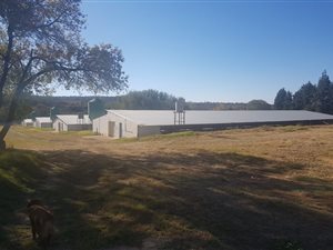 6 ha Farm in Hekpoort
