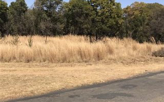 4.2 ha Land available in Tiegerpoort