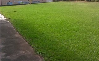 3 Bedroom House in Woodhaven