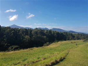 1137 m² Land available in Welgelegen Estate