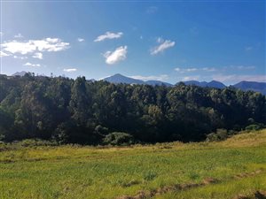 1137 m² Land available in Welgelegen Estate