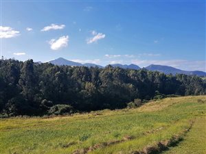 1137 m² Land available in Welgelegen Estate