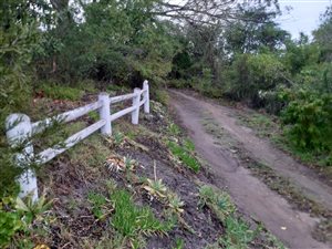 8.2 ha Farm in Knysna Central