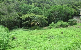 929 m² Land available in Doon Heights