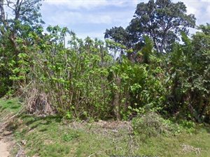 1114 m² Land available in Trafalgar