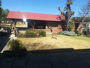 60 ha Farm in Bela-Bela (Warmbaths)