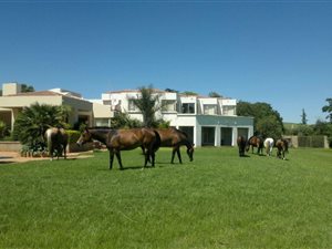 1.6 ha Land available in Modderfontein