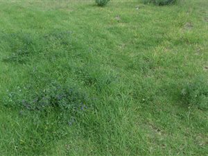 758 m² Land available in Monte Christo